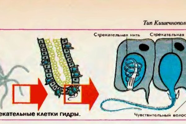 Кракен не грузит