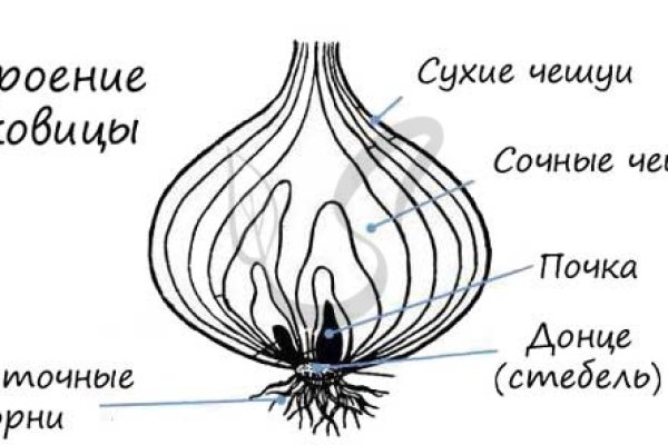 Ссылка на кракен через тор