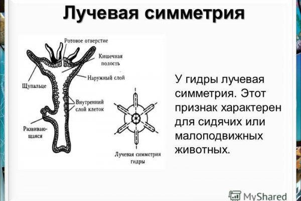 Кракен даркнет kraken014 com